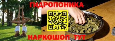 крисы Конаково