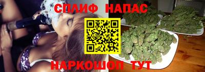 крисы Конаково
